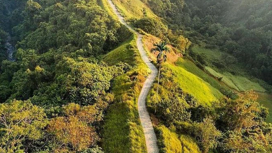 Bukit Campuhan Ubud